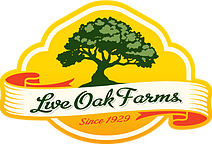 Live Oak